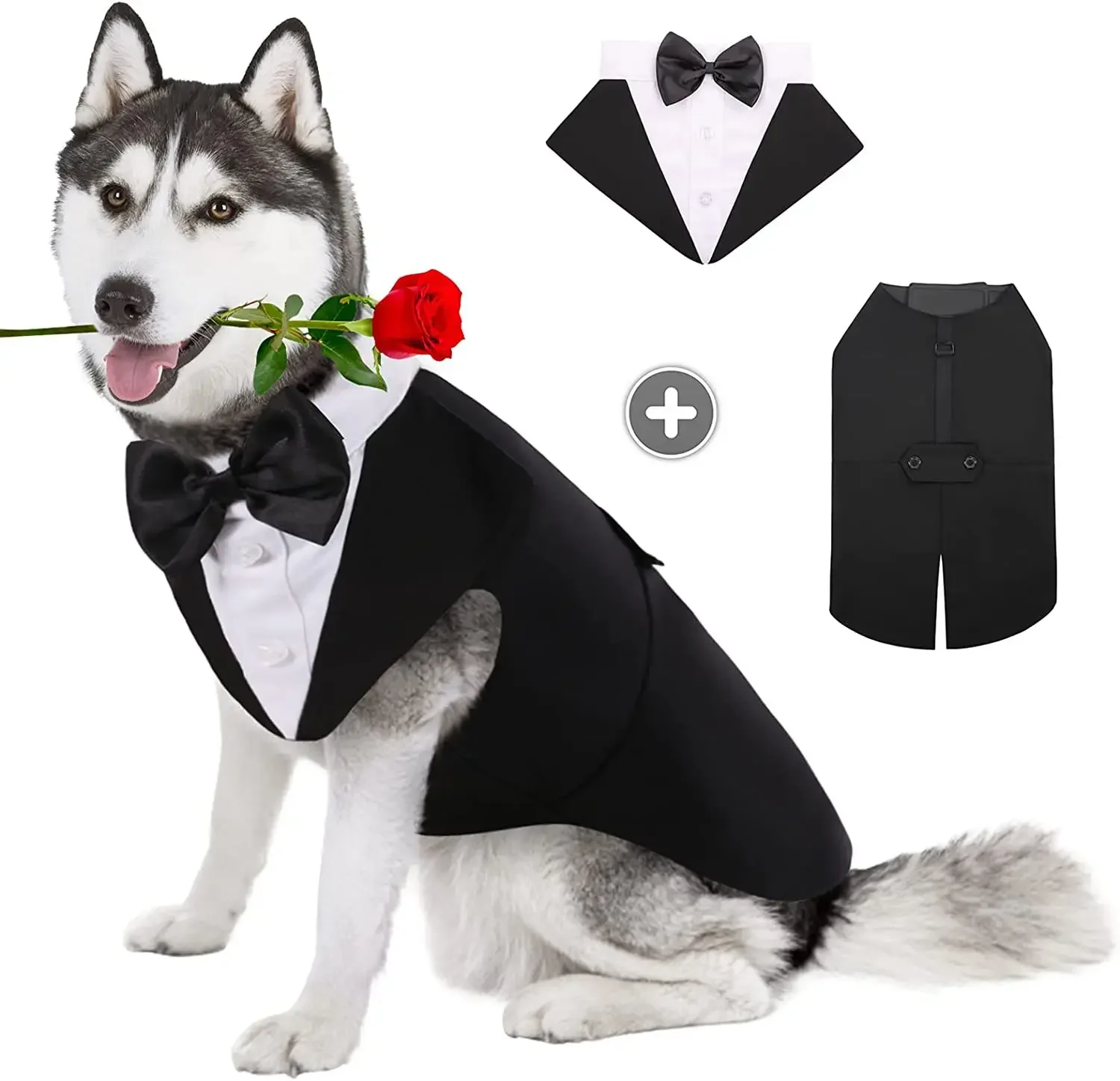 반려견 의류 웨딩 셔츠 패션 파티 쇼 정장 넥타이 보타 - Suit Supply Wedding Party 리뷰 및 가격